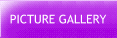 Picture Gallery
