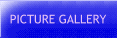 Picture Gallery